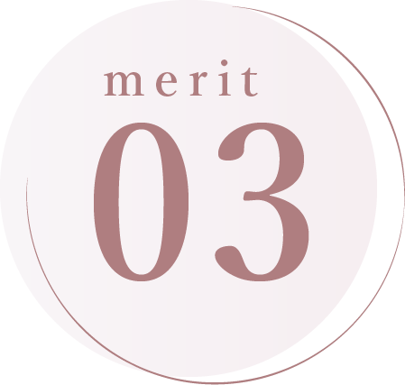 merit03